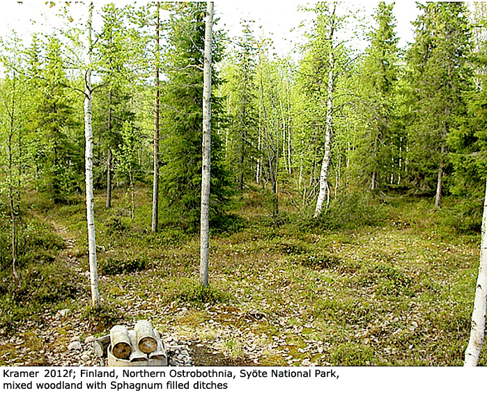habitat