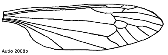 wing