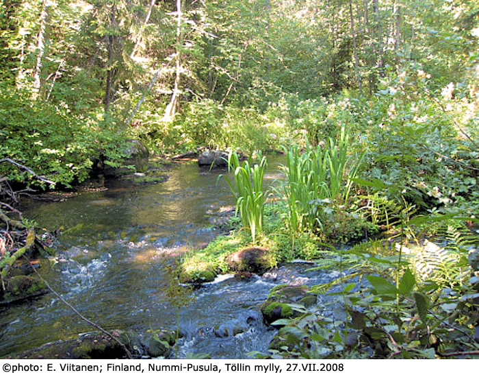 habitat