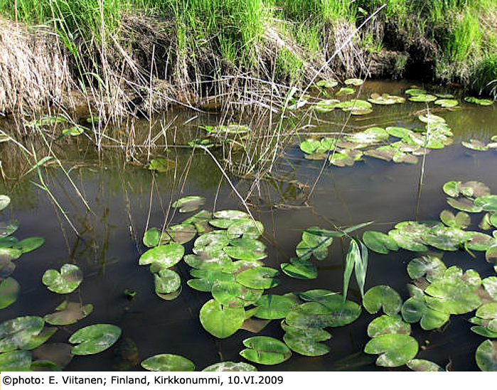 habitat