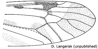 wing