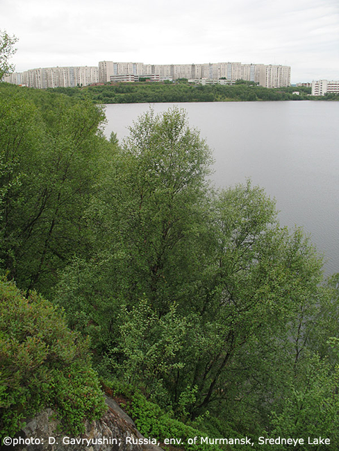 habitat