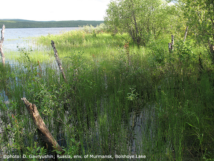 habitat