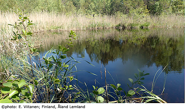 habitat