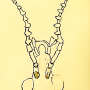 Angarotipula tumidicornis : body part(s) - head