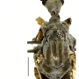 Dactylolabis (Dactylolabis) wudangensis : body part(s) - head and thorax