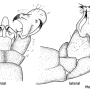 Dicranomyia (Glochina) bangerteri : hypopygium
