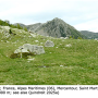 Dicranomyia (Melanolimonia) caledonica : habitat