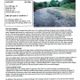 Dicranomyia (Dicranomyia) didyma : habitat Dicranomyia (Dicranomyia) didyma : habitat
