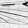 Dicranomyia (Dicranomyia) interrupta : wing
