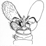 Dicranomyia (Dicranomyia) livornica : hypopygium