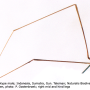 Dicranomyia (Dicranomyia) lugubris : body part(s) - leg