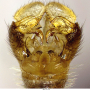 Dicranomyia (Dicranomyia) patens : hypopygium