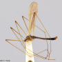 Dicranoptycha acanthophallus : habitus - male