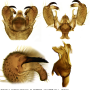 Dicranoptycha fuscescens : hypopygium