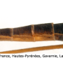 Dicranota (Ludicia) claripennis : body part(s) - abdomen