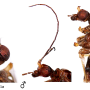 Dolichopeza (Sinoropeza) apicalis : body part(s) - head and thorax