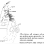 Elephantomyia (Elephantomyia) juquiensis : hypopygium