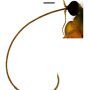 Elephantomyia (Elephantomyia) serotina : body part(s) - head