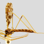 Epiphragma (Epiphragma) solatrix : habitus - female