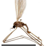 Erioptera (Meterioptera) bicornifer : habitus - male