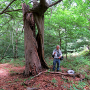 Gnophomyia elsneri : habitat