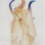 Gonomyia (Gonomyia) subtenella : hypopygium