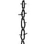 Idioptera pulchella : body part(s) - antenna