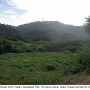 Indotipula yamata yamata: habitat