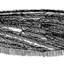 Molophilus (Molophilus) griseus : wing Molophilus (Molophilus) griseus : wing
