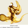 Pilaria decolor : hypopygium