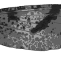 Rhamphophila sinistra : wing