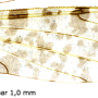 Rhipidia (Rhipidia) maculata : wing