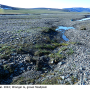 Symplecta (Symplecta) sheldoni : habitat