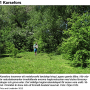 Tanyptera (Tanyptera) atrata atrata: habitat