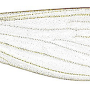 Tasiocera (Dasymolophilus) robusta : wing