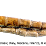 Tipula (Lunatipula) alpina : body part(s) - abdomen