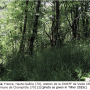 Tipula (Dendrotipula) flavolineata : habitat