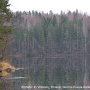 Tipula (Lunatipula) laetabilis : habitat