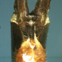 Tipula (Vestiplex) nubeculosa : ovipositor
