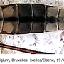 Tipula (Lunatipula) pilicauda : body part(s) - abdomen