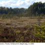 Tipula (Savtshenkia) subnodicornis : habitat