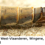 Tipula (Pterelachisus) truncorum : ovipositor