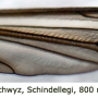 Tipula (Lunatipula) vernalis : wing