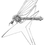 Tricyphona (Tricyphona) immaculata : habitus - male