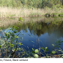 Tricyphona (Tricyphona) schummeli : habitat